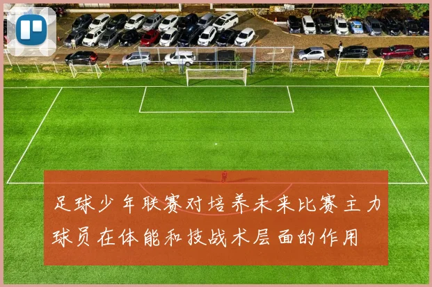 足球少年联赛对培养未来比赛主力球员在体能和技战术层面的作用